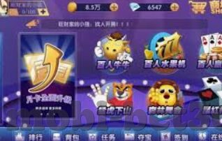 能看的抢庄牛牛-能看的抢庄牛牛,一场智力与策略的盛宴